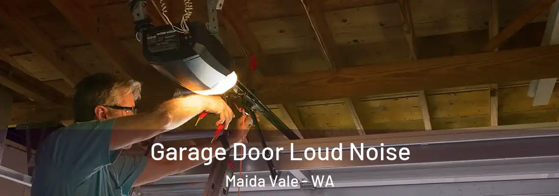 Garage Door Loud Noise Maida Vale - WA