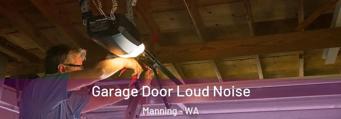 Garage Door Loud Noise Manning - WA