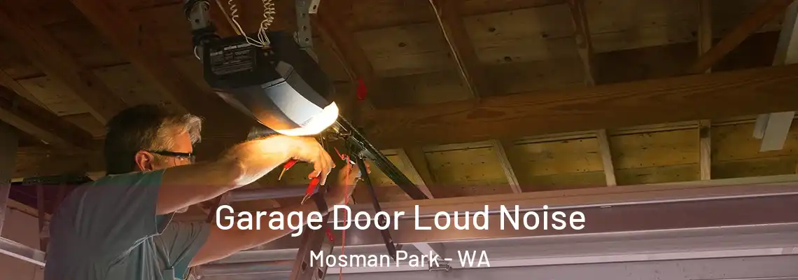 Garage Door Loud Noise Mosman Park - WA