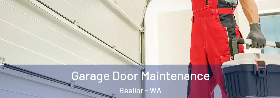 Garage Door Maintenance Beeliar - WA