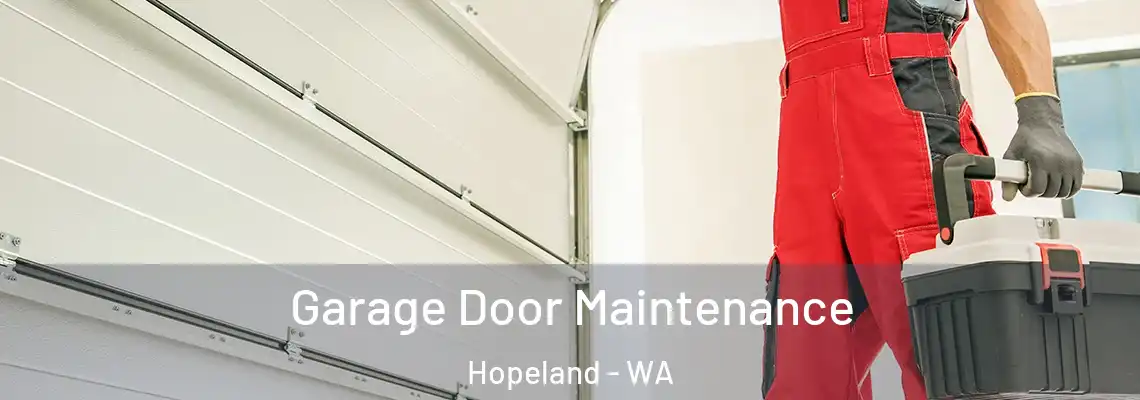 Garage Door Maintenance Hopeland - WA