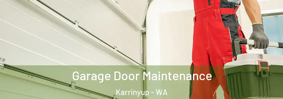 Garage Door Maintenance Karrinyup - WA