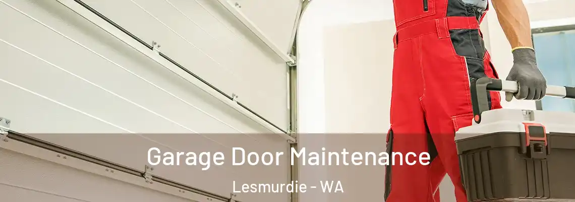  Garage Door Maintenance Lesmurdie - WA