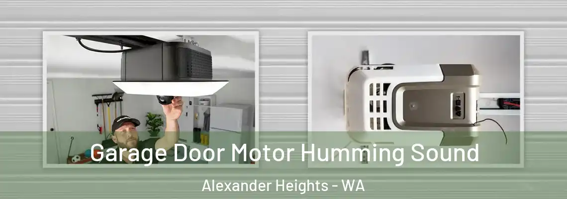 Garage Door Motor Humming Sound Alexander Heights - WA