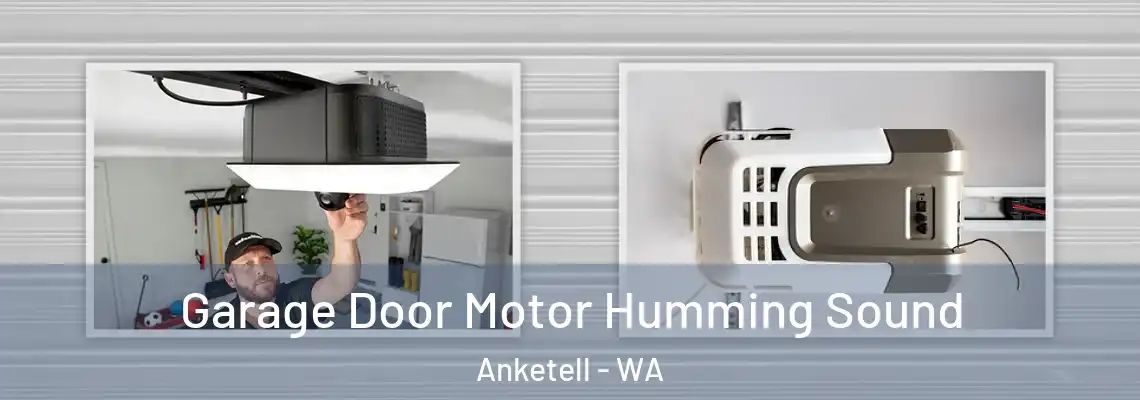 Garage Door Motor Humming Sound Anketell - WA