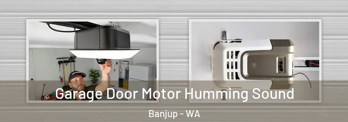 Garage Door Motor Humming Sound Banjup - WA