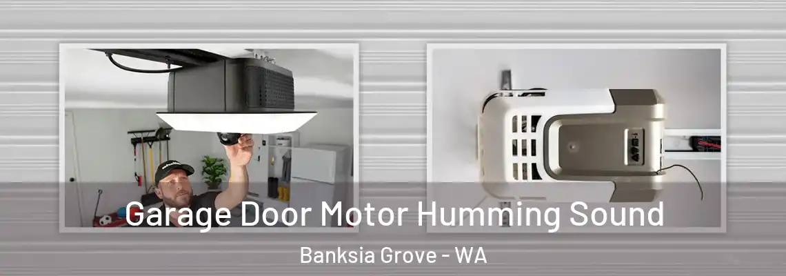 Garage Door Motor Humming Sound Banksia Grove - WA