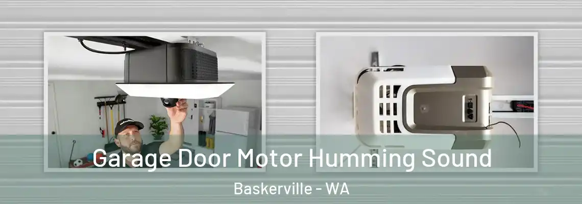 Garage Door Motor Humming Sound Baskerville - WA