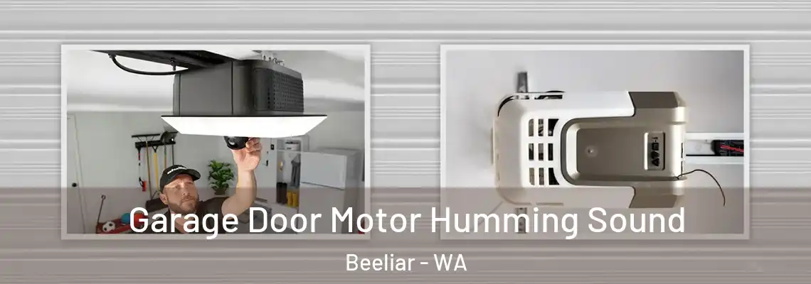 Garage Door Motor Humming Sound Beeliar - WA