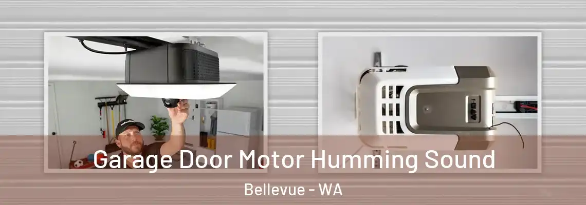 Garage Door Motor Humming Sound Bellevue - WA