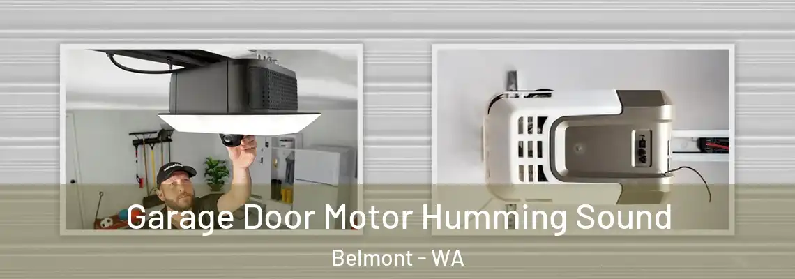 Garage Door Motor Humming Sound Belmont - WA