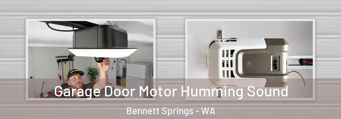 Garage Door Motor Humming Sound Bennett Springs - WA