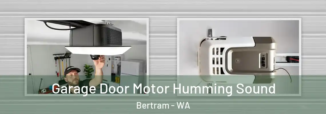 Garage Door Motor Humming Sound Bertram - WA