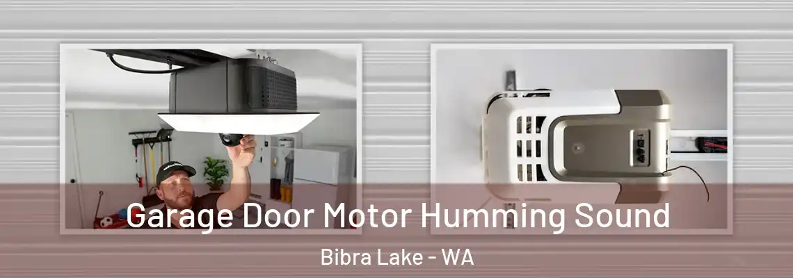 Garage Door Motor Humming Sound Bibra Lake - WA