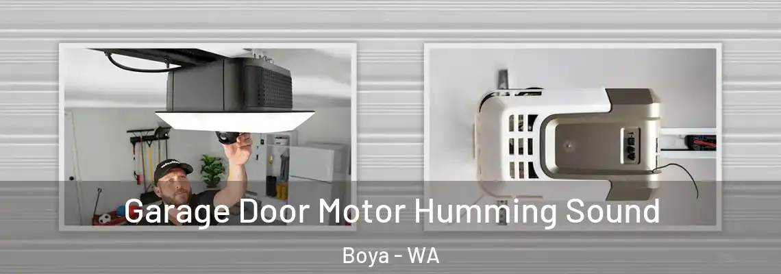 Garage Door Motor Humming Sound Boya - WA