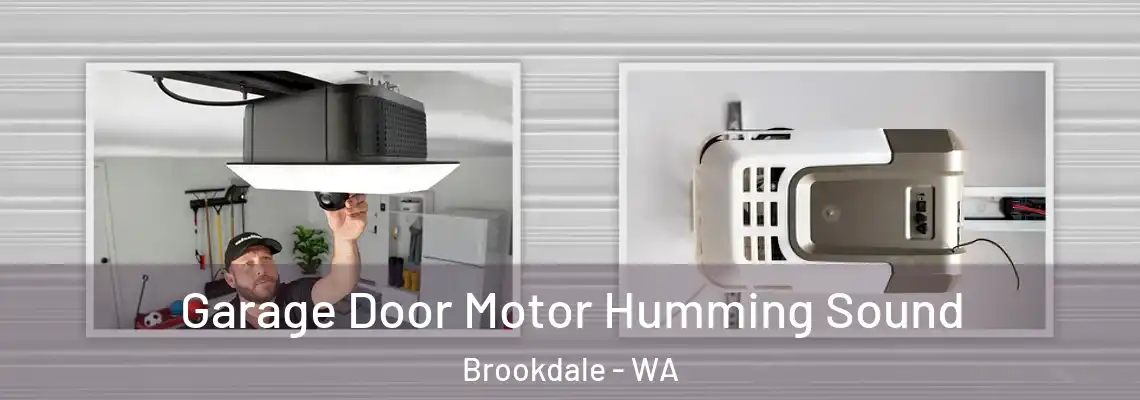 Garage Door Motor Humming Sound Brookdale - WA