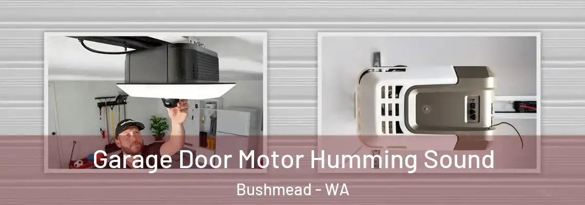 Garage Door Motor Humming Sound Bushmead - WA