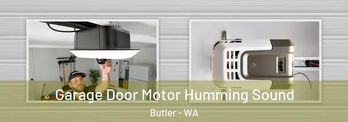 Garage Door Motor Humming Sound Butler - WA