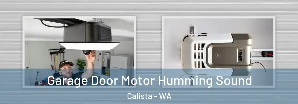 Garage Door Motor Humming Sound Calista - WA