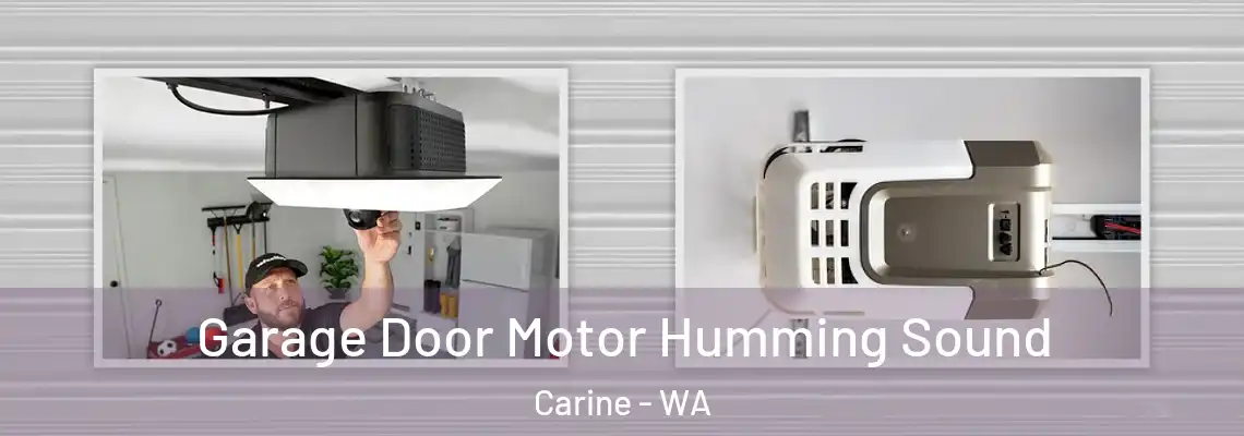 Garage Door Motor Humming Sound Carine - WA