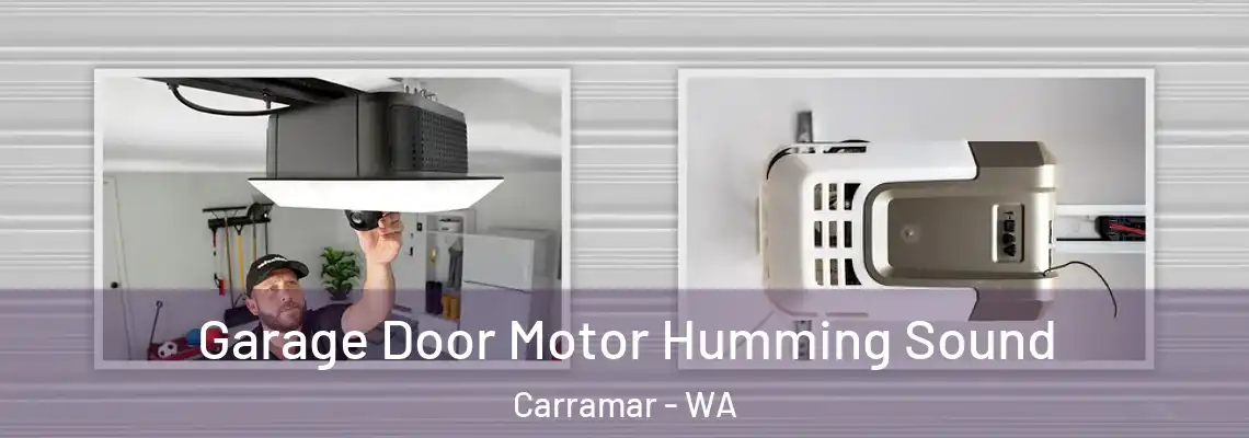 Garage Door Motor Humming Sound Carramar - WA