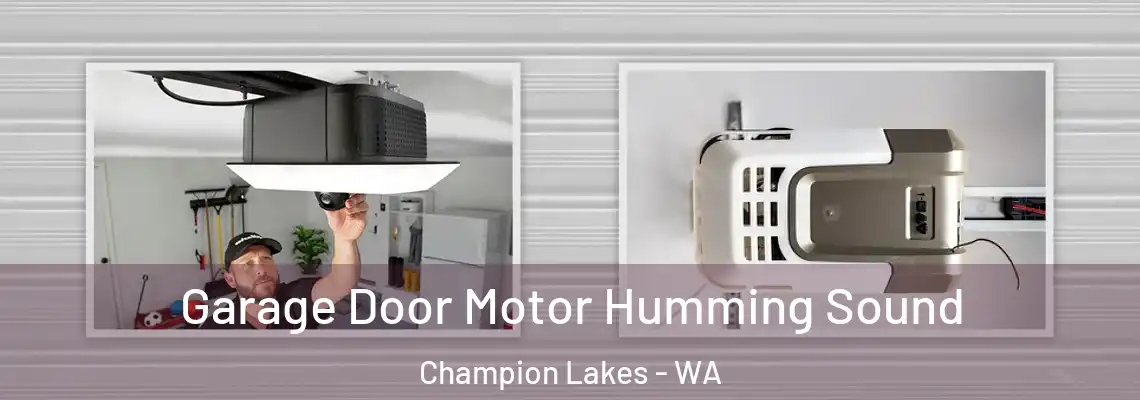 Garage Door Motor Humming Sound Champion Lakes - WA