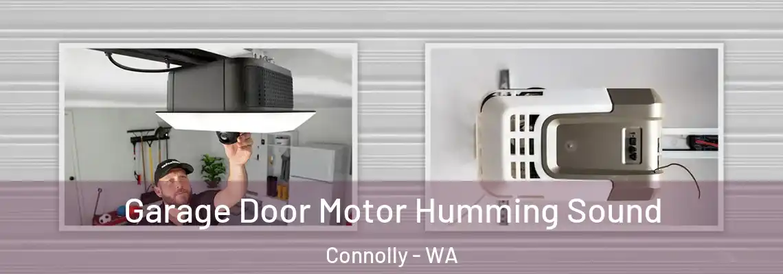 Garage Door Motor Humming Sound Connolly - WA