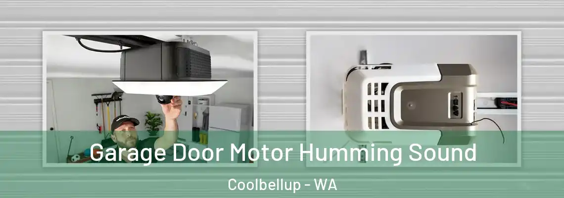 Garage Door Motor Humming Sound Coolbellup - WA