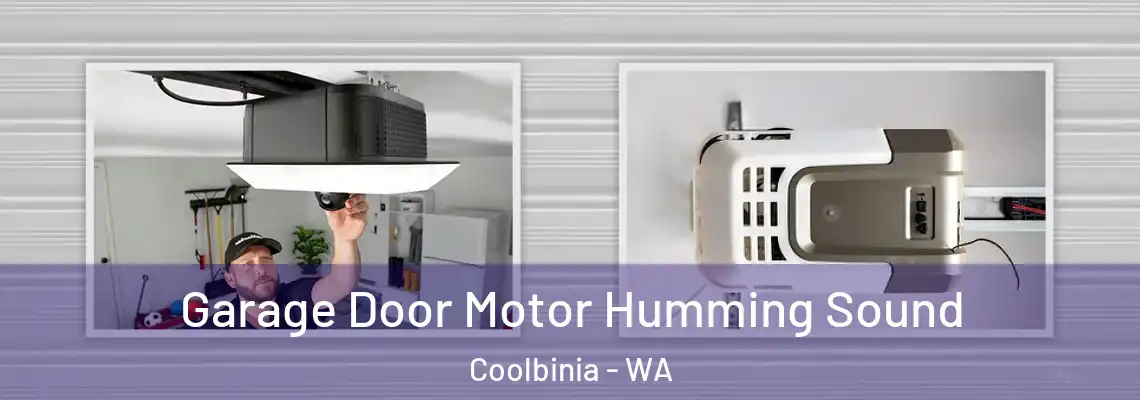 Garage Door Motor Humming Sound Coolbinia - WA
