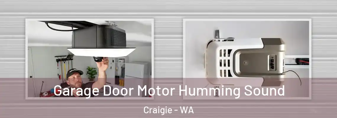 Garage Door Motor Humming Sound Craigie - WA