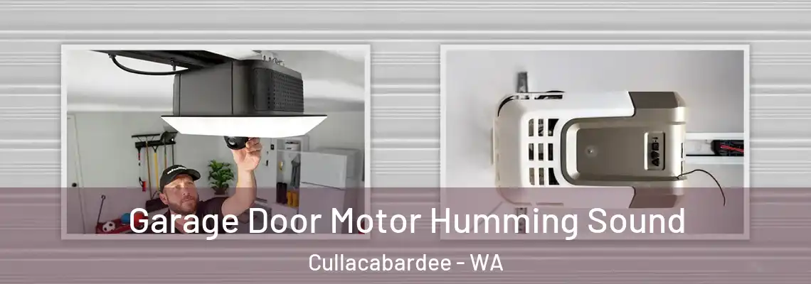Garage Door Motor Humming Sound Cullacabardee - WA