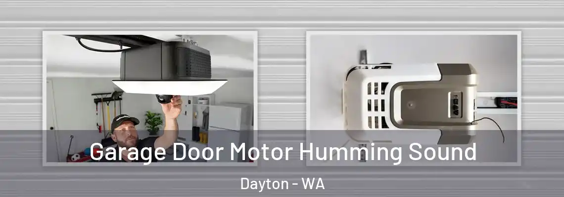  Garage Door Motor Humming Sound Dayton - WA
