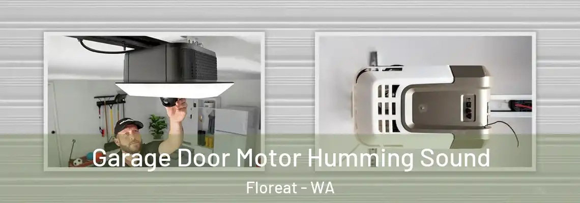 Garage Door Motor Humming Sound Floreat - WA