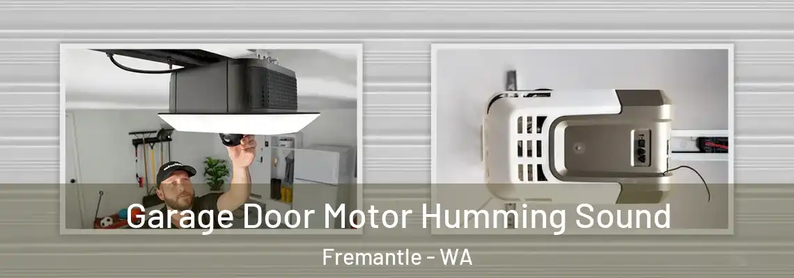 Garage Door Motor Humming Sound Fremantle - WA