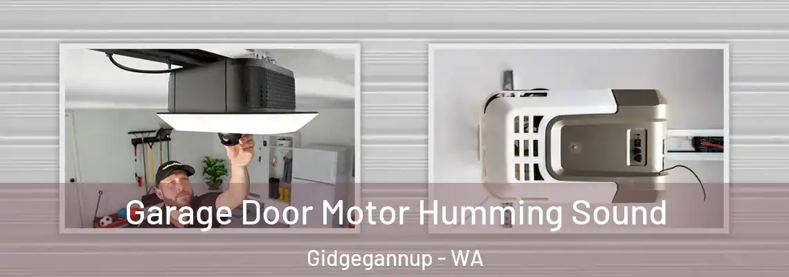 Garage Door Motor Humming Sound Gidgegannup - WA
