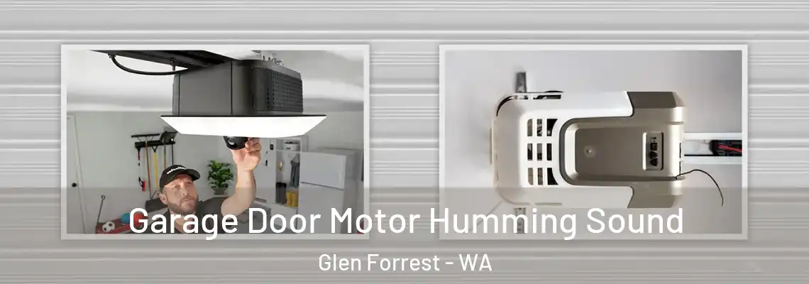 Garage Door Motor Humming Sound Glen Forrest - WA