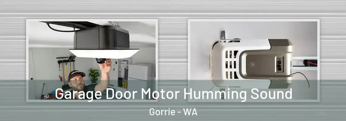 Garage Door Motor Humming Sound Gorrie - WA