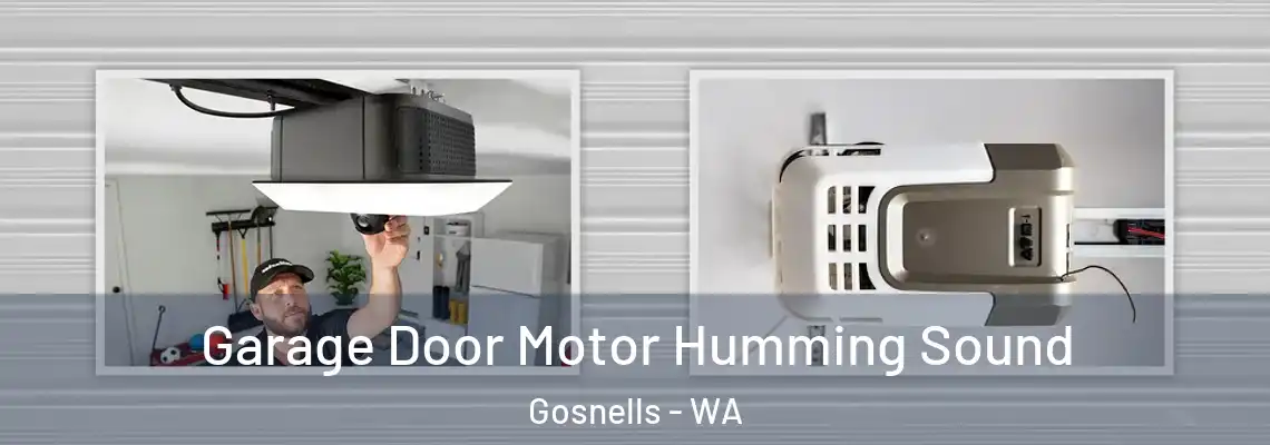 Garage Door Motor Humming Sound Gosnells - WA