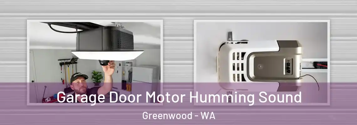 Garage Door Motor Humming Sound Greenwood - WA