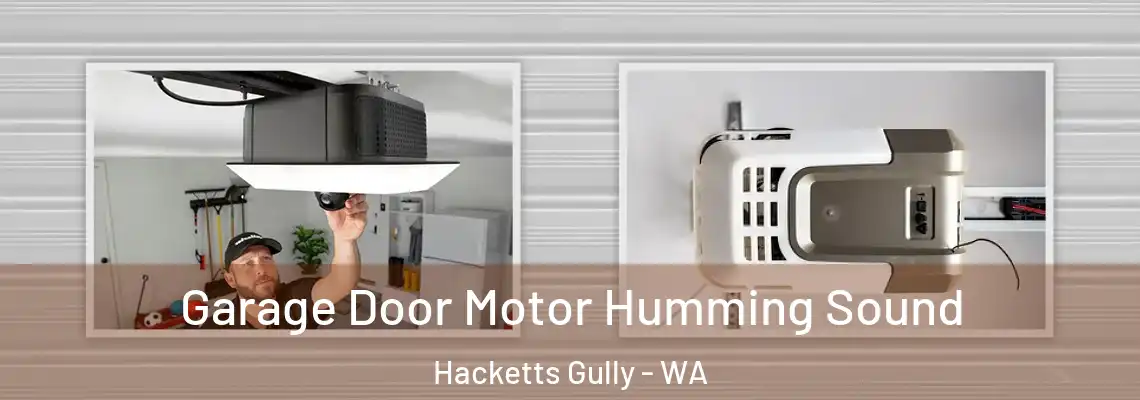 Garage Door Motor Humming Sound Hacketts Gully - WA