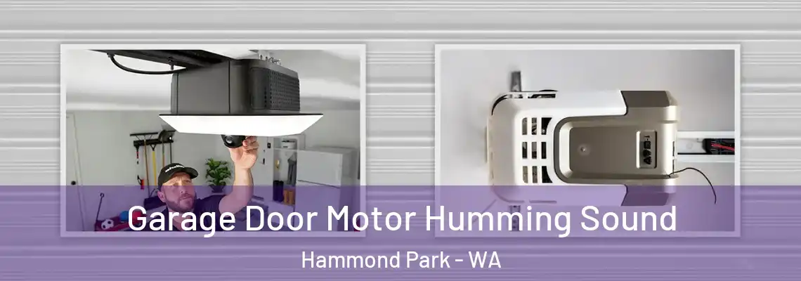  Garage Door Motor Humming Sound Hammond Park - WA