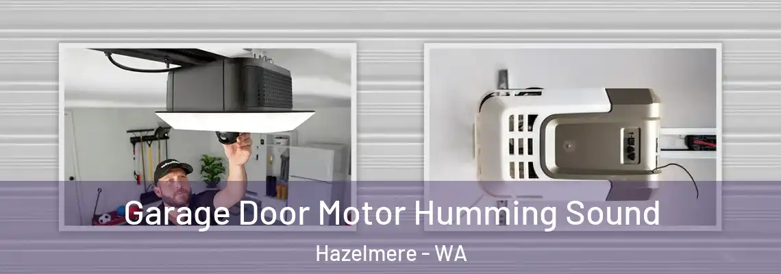 Garage Door Motor Humming Sound Hazelmere - WA