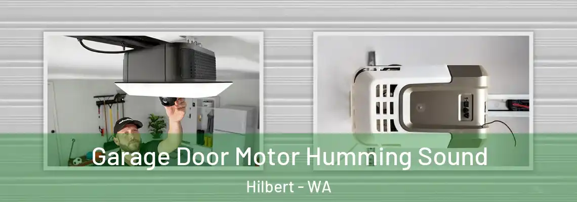 Garage Door Motor Humming Sound Hilbert - WA