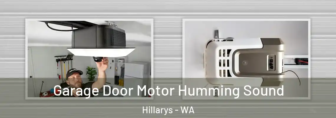  Garage Door Motor Humming Sound Hillarys - WA