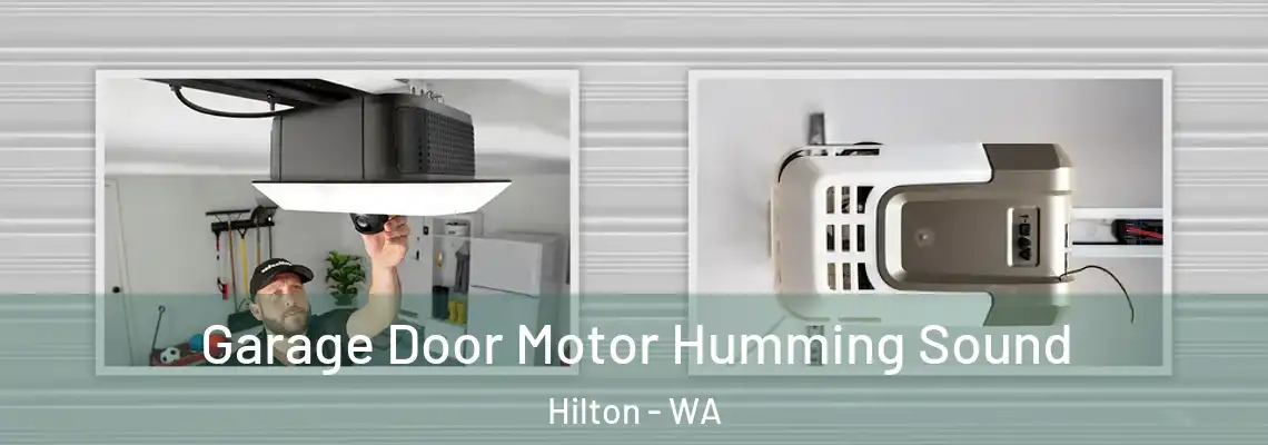 Garage Door Motor Humming Sound Hilton - WA