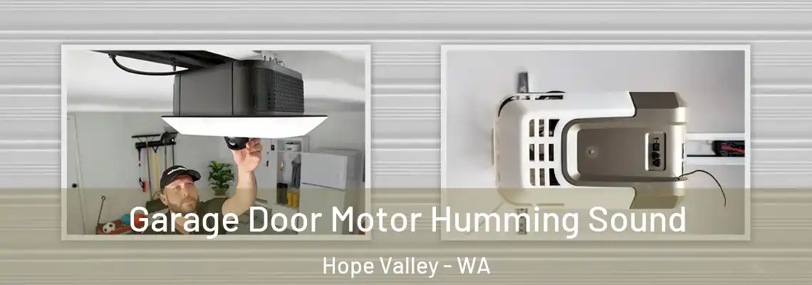 Garage Door Motor Humming Sound Hope Valley - WA