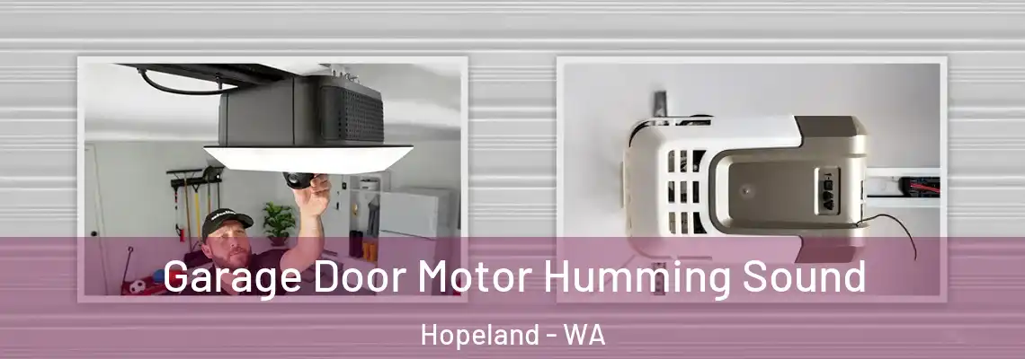 Garage Door Motor Humming Sound Hopeland - WA