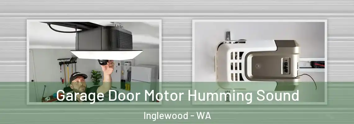 Garage Door Motor Humming Sound Inglewood - WA