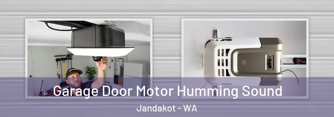 Garage Door Motor Humming Sound Jandakot - WA