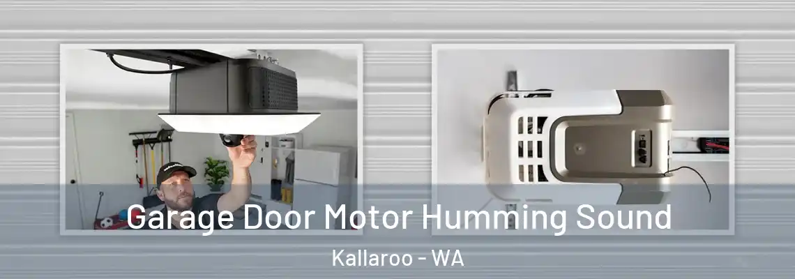Garage Door Motor Humming Sound Kallaroo - WA
